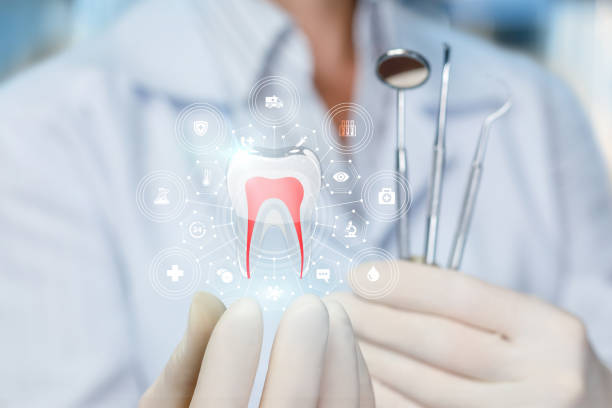 Best Preventive Dentistry  in Havelock, NC